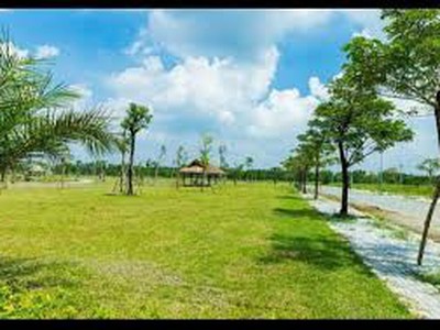 Đất long an - kđt daresco 7 x 20, sổ sẵn, giá 1,2 tỷ 3