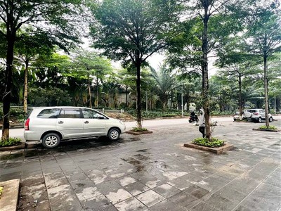 Bán sim vip tứ 6 Viettel đẹp. 4017
