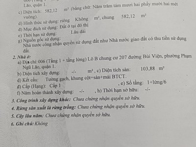 Bán tầng trệt C/C 207 đường Bùi Viện, P. Phạm Ngũ Lão, Quận 1 5
