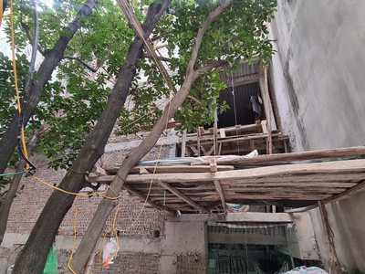 Bán sim vip tứ 6 Viettel đẹp. 7398