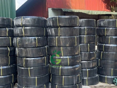 Bán sim vip tứ 6 Viettel đẹp. 6497