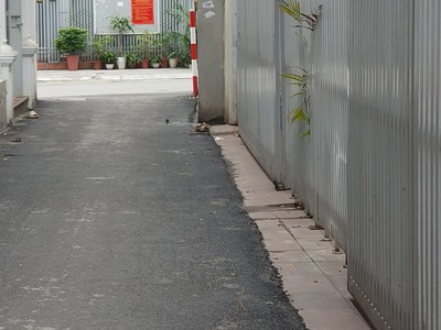 Bán sim vip tứ 6 Viettel đẹp. 6395