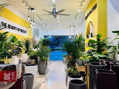 Bán sim vip tứ 6 Viettel đẹp. 7233