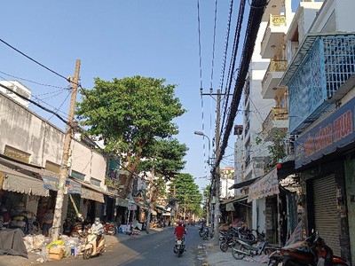 Bán sim vip tứ 6 Viettel đẹp. 6655