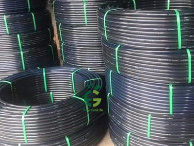 Bán sim vip tứ 6 Viettel đẹp. 8041