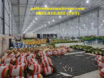 Pallet nhựa An Giang giá tốt, liên hệ 0937.612.822 24/7 7