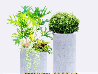 Bán sim vip tứ 6 Viettel đẹp. 9283