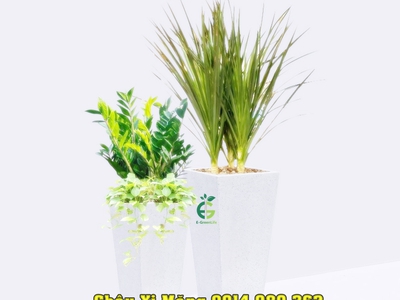 Bán sim vip tứ 6 Viettel đẹp. 9312