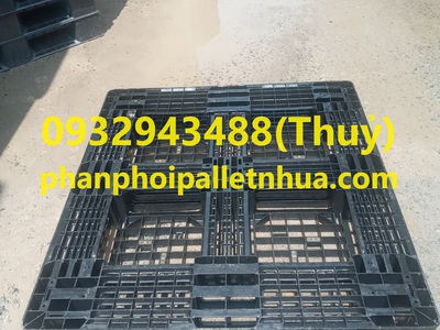Bán pallet nhựa cũ tại Kiên Giang, liên hệ 0932943488 1