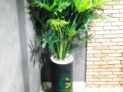 Bán sim vip tứ 6 Viettel đẹp. 9281