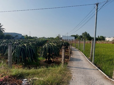 Đất đẹp - giá tốt - chính chủ cần bán đất vị trí đẹp tại thạnh đức, bến lức, long an 3