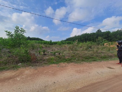 Bán đất thổ cư 1500m2 chính chủ, huyện đức linh, bình thuận 3