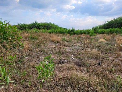 Bán đất thổ cư 1500m2 chính chủ, huyện đức linh, bình thuận 0