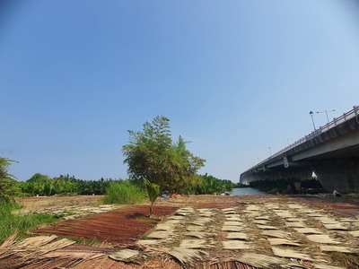 Biệt thự thuộc Khu du lịch Rừng Dừa Bảy Mẫu - Hội An chỉ còn 10 tỷ. 0