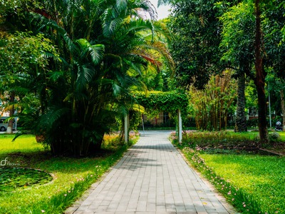 Chỉ cần 25 tiệu sở hữu căn hộ cao cấp 2pn view đẹp nhất kđt lá phổi xanh của văn giang hưng yên 1