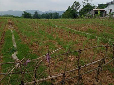 Chính chủ cần bán lô đất đẹp tại huyện thạch thành - tỉnh thanh hóa 1