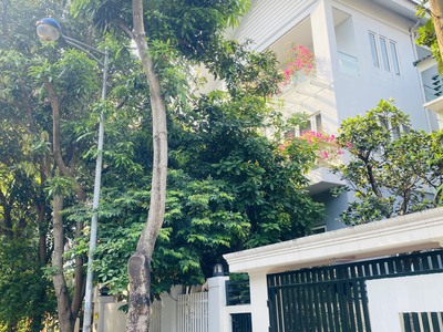 Biệt thự đơn lập bắc linh đàm, hoàng mai, kd đỉnh, 220m2, 12m tiền, 6t thang máy, giá 40 tỷ. 2