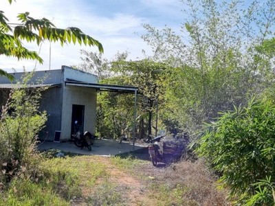 Chính chủ cần bán lô đất rộng vị trí đẹp gần quốc lộ 28b, phan lâm, bắc bình, bình thuận 0