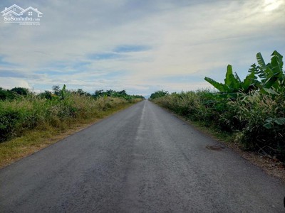 Chính chủ cần bán lô đất rộng vị trí đẹp gần quốc lộ 28b, phan lâm, bắc bình, bình thuận 1