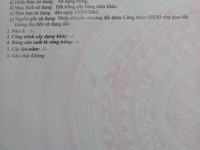 Siêu phẩm đất làm nhà vườn mặt tiền xe tải 5m xã thuận thành, cần giuộc, long an 1