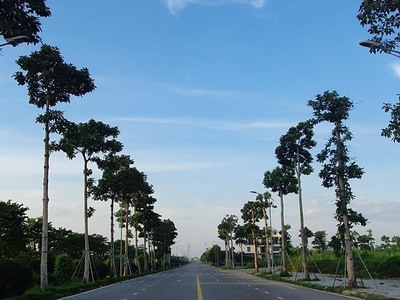 Tôi chuyển xuống mặt đất nên cần bán lô B1.1 BT03-05 tại đô thị Thanh Hà Cienco5 thuộc quận Hà Đông, 2