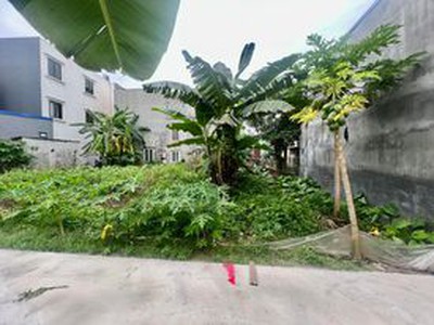 Bán đất tặng Chuối kèm Đu Đủ  tại Đồng Hoà 1