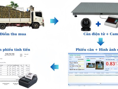 Cách quản lý thu mua nông sản bằng cân điện tử, hình ảnh camera 0