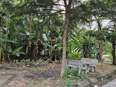 Cần bán nhanh lô góc Đặng Trần Côn khu đô thị An Phú 2 Tp Hải Dương Tỉnh Hải Dương 2