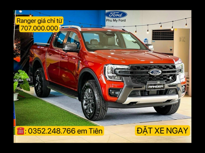 Tiền Giang FORD Ford Everest, Ranger, Raptor,stormtrak,Platium 3