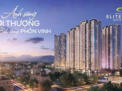 Đầu tư lợi nhuận an toàn từ cho thuê căn hộ Tecco Elite chỉ từ 800tr sổ đỏ vĩnh viễn 0