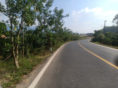 Chính chủ cần bán nhanh lô đất có khả năng sinh lời cao tại lạc dương tỉnh lâm đồng 0