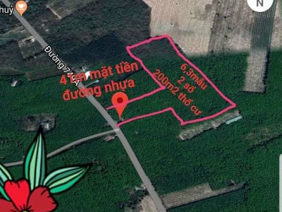 Bán đất minh thạnh, dầu tiếng, bd. diện tích: 6,3 ha  có 200m  đất thổ cư .giá: 27 tỷ  có thương 0