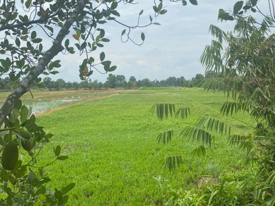 Chính chủ  cần bán đất tại huyện hóc môn- tp hồ chí minh 1