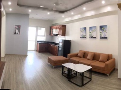 Chính chủ cần cho thuê căn hộ chung cư ct4b đô thị xa la - phúc la- hà đông 1