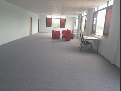 Cho thuê nhà xưởng diện tích 14.000 m2 Bàu Bàng, Bình Dương  3