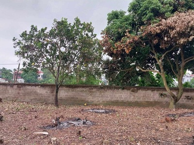 Cần tiền trả ngân hàng bán gấp 446 m  đất, vị trí đắc địa nhất thuộc khu đồi hương, tiên trượng, 4
