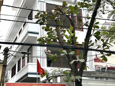 Chính chủ cho thuê nhà tại 529 nguyễn hoàng tôn - xuân đỉnh, quận bắc từ liêm, hà nội. 0