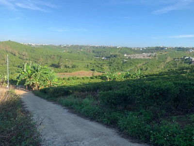 Chính chủ cần bán gần 2 sào đất xã lộc thanh - tp bảo lộc - lâm đồng 0