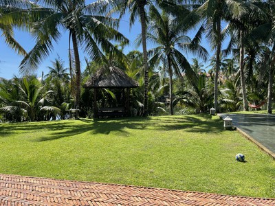 Chào bán căn villa view lúa cực chill khu sinh thái Cẩm Thanh,có sẵn HD cho thuê 70tr/tháng 0