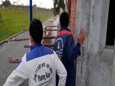 Diệt mối Phước Nguyên Bà Rịa 3