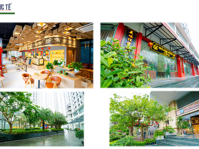 Tin được ko  Mua căn hộ Tecco Thái nguyên được dùng thử 2 năm, mỗi tháng lợi nhuận 9-11 tr 4