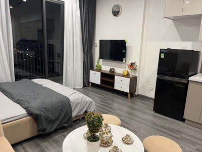 Chính chủ cho thuê căn hộ studio r101 15a19 tại xã dương xá gia lâm - hà nội   dự án vinhomes ocean 4