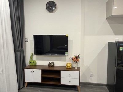 Chính chủ cho thuê căn hộ studio r101 15a19 tại xã dương xá gia lâm - hà nội   dự án vinhomes ocean 1