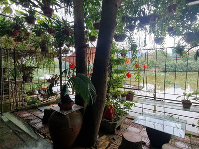 Chính chủ, không qua trung gian bán nhà tại xã vũ quý, kiến xương, thái bình 4