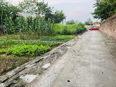 64,5m đất tại Tân Minh Sóc Sơn 2