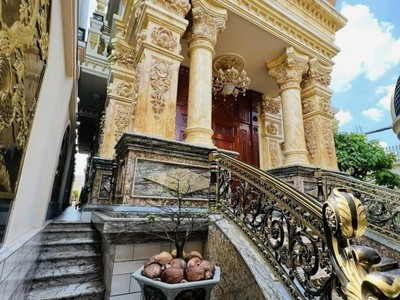 Bán gấp dinh thự -thủ dầu 1 - bình dương 350m2 10 x 35 3 tầng phong cách tân cổ điển 1
