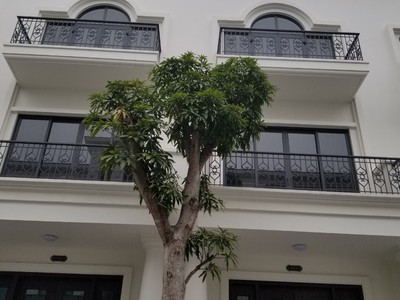 Chuyển nhượng căn Ngoc Trai 03 Vinhomes Marina cực đỉnh 1