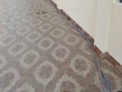 Diệt mối Phước Hưng Bà Rịa 2