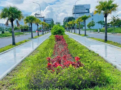  BÁN ĐẤT FPT ĐÀ NẴNG: CƠ HỘI ĐẦU TƯ SINH LỜI LỚN với 527m2, 618m2, 1145m2,chỉ 30tr/m2 3