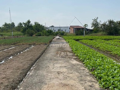 Bán đất chính chủ cách đường huỳnh thị luông 200m - cần giuộc long an  85m2  nở hậu, có sổ hồng 2